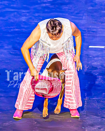2026 Mutts in Motion - Performance - Complete - TJP (115 of 487)