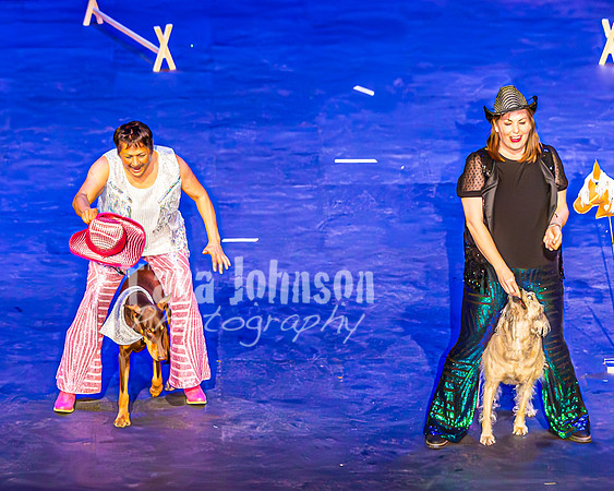 2026 Mutts in Motion - Performance - Complete - TJP (116 of 487)