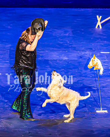 2026 Mutts in Motion - Performance - Complete - TJP (117 of 487)