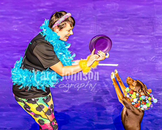 2026 Mutts in Motion - Performance - Complete - TJP (121 of 487)