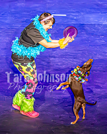 2026 Mutts in Motion - Performance - Complete - TJP (120 of 487)