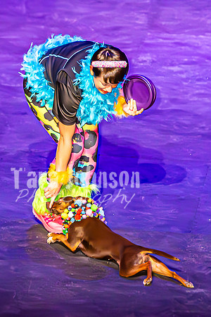 2026 Mutts in Motion - Performance - Complete - TJP (122 of 487)