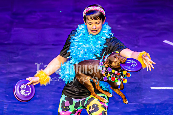 2026 Mutts in Motion - Performance - Complete - TJP (127 of 487)