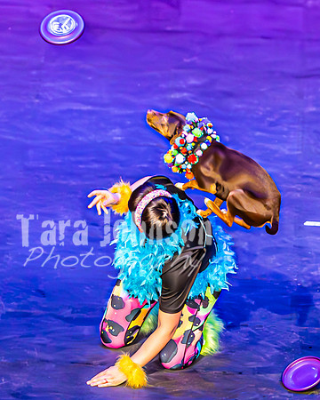 2026 Mutts in Motion - Performance - Complete - TJP (129 of 487)