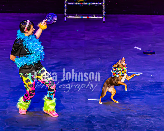 2026 Mutts in Motion - Performance - Complete - TJP (130 of 487)