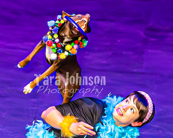 2026 Mutts in Motion - Performance - Complete - TJP (132 of 487)