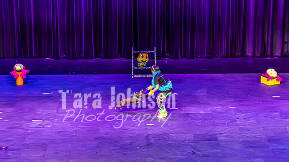 2026 Mutts in Motion - Performance - Complete - TJP (133 of 487)