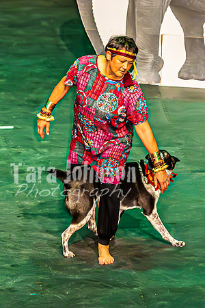 2026 Mutts in Motion - Performance - Complete - TJP (149 of 487)