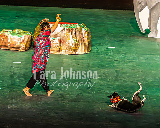 2026 Mutts in Motion - Performance - Complete - TJP (154 of 487)