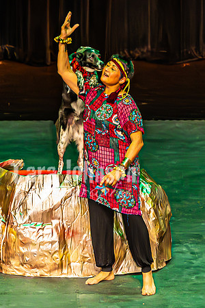 2026 Mutts in Motion - Performance - Complete - TJP (160 of 487)
