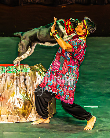 2026 Mutts in Motion - Performance - Complete - TJP (163 of 487)