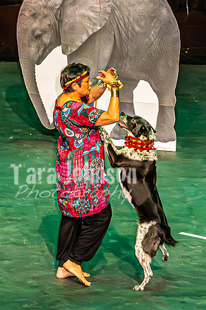 2026 Mutts in Motion - Performance - Complete - TJP (165 of 487)