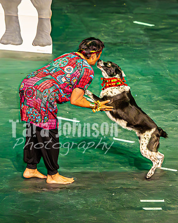 2026 Mutts in Motion - Performance - Complete - TJP (167 of 487)