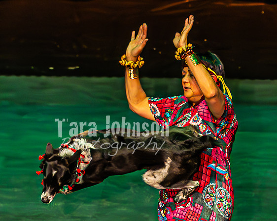 2026 Mutts in Motion - Performance - Complete - TJP (172 of 487)