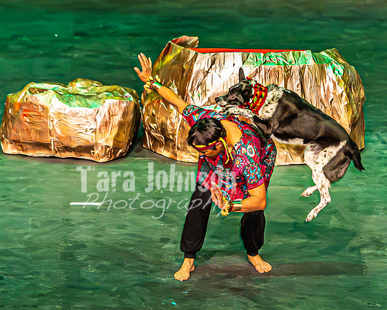 2026 Mutts in Motion - Performance - Complete - TJP (173 of 487)