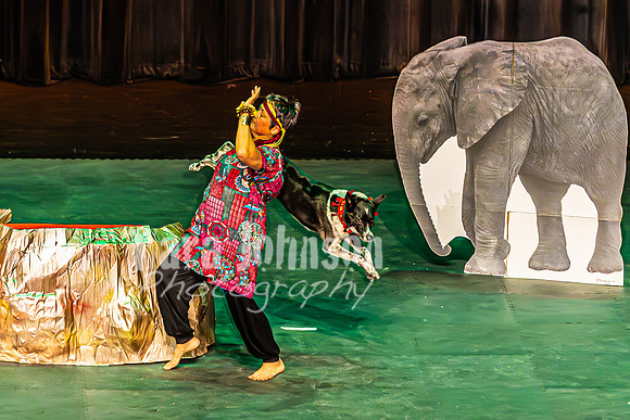 2026 Mutts in Motion - Performance - Complete - TJP (176 of 487)