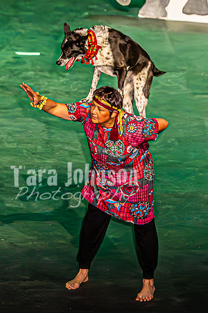 2026 Mutts in Motion - Performance - Complete - TJP (179 of 487)