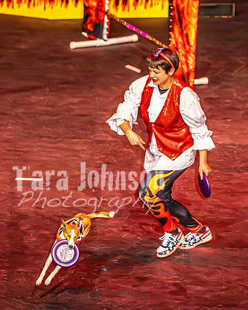 2026 Mutts in Motion - Performance - Complete - TJP (186 of 487)