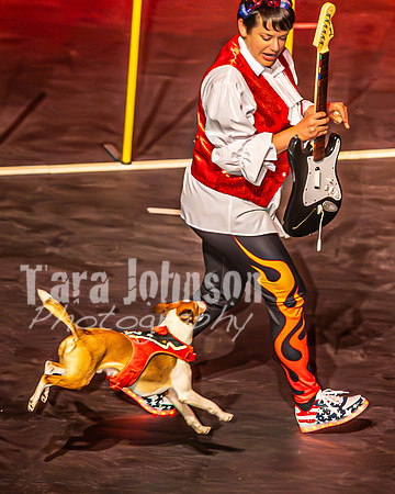 2026 Mutts in Motion - Performance - Complete - TJP (192 of 487)