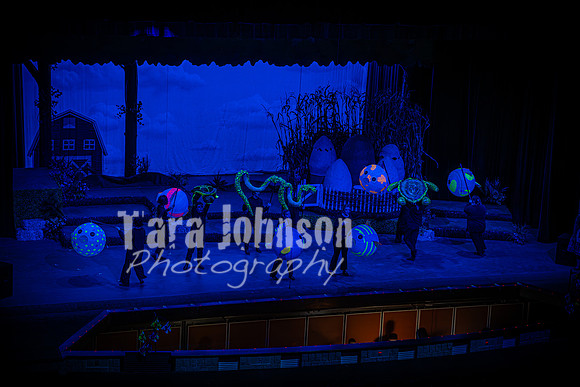 2024 MTC - Honk - Senior Show (Thursday) - TJP (61 of 360)