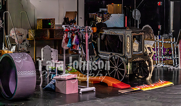 2026 Mutts in Motion - Rehearsal 1 - TJP (1 of 20)