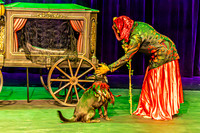 2026 Mutts in Motion - Rehearsal 1 - TJP (5 of 20)