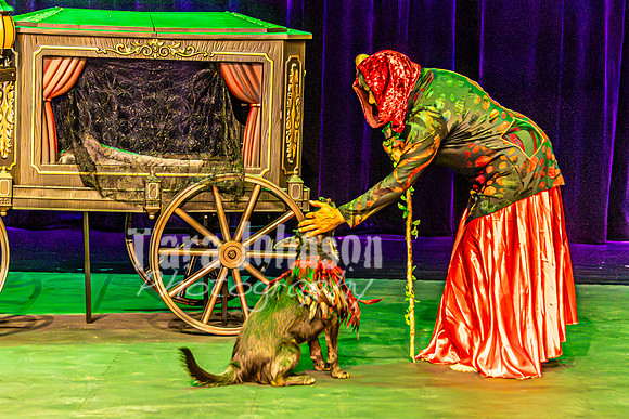 2026 Mutts in Motion - Rehearsal 1 - TJP (5 of 20)