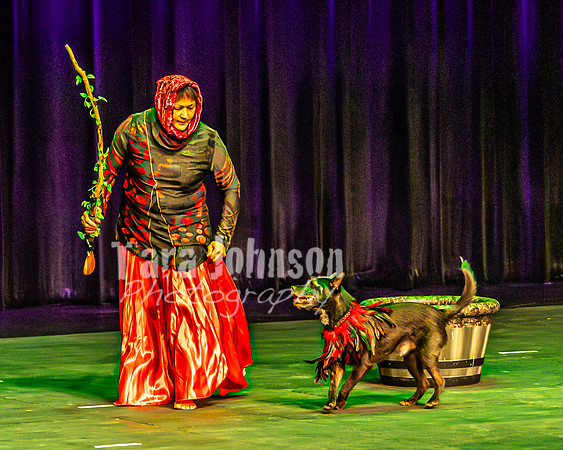 2026 Mutts in Motion - Rehearsal 1 - TJP (9 of 20)