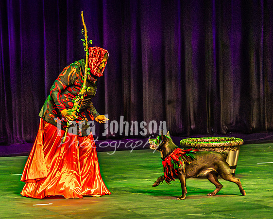 2026 Mutts in Motion - Rehearsal 1 - TJP (10 of 20)