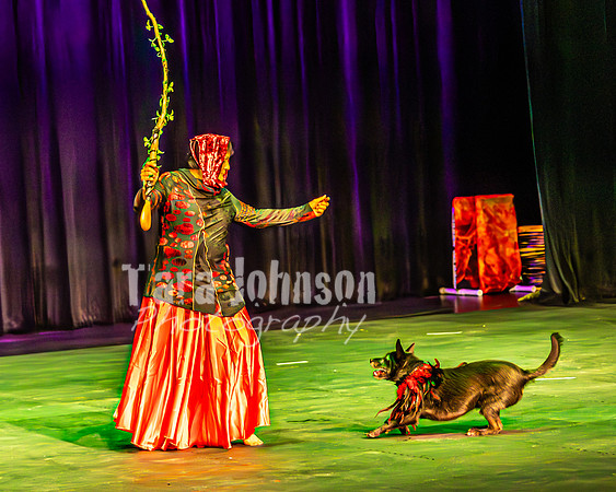 2026 Mutts in Motion - Rehearsal 1 - TJP (11 of 20)