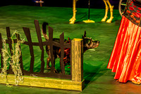 2026 Mutts in Motion - Rehearsal 1 - TJP (7 of 20)