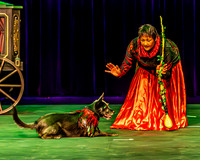 2026 Mutts in Motion - Rehearsal 1 - TJP (16 of 20)