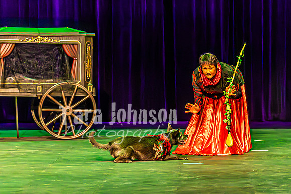 2026 Mutts in Motion - Rehearsal 1 - TJP (15 of 20)