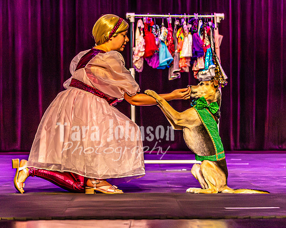 2026 Mutts in Motion - Rehearsal 2 - TJP (2 of 25)