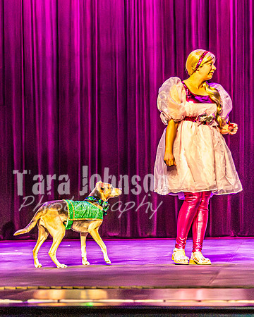 2026 Mutts in Motion - Rehearsal 2 - TJP (1 of 25)