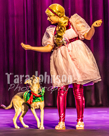 2026 Mutts in Motion - Rehearsal 2 - TJP (4 of 25)