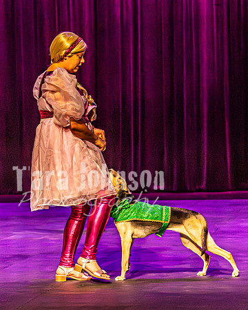 2026 Mutts in Motion - Rehearsal 2 - TJP (8 of 25)