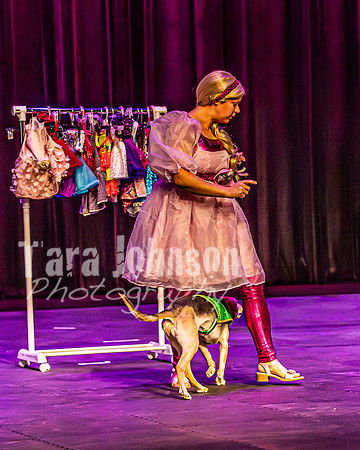 2026 Mutts in Motion - Rehearsal 2 - TJP (9 of 25)