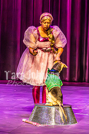 2026 Mutts in Motion - Rehearsal 2 - TJP (10 of 25)