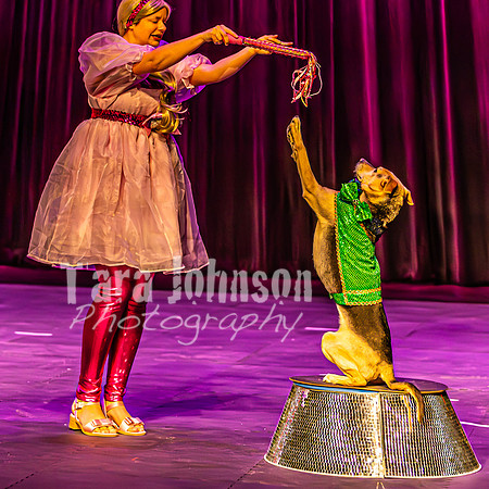2026 Mutts in Motion - Rehearsal 2 - TJP (11 of 25)