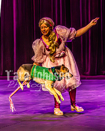2026 Mutts in Motion - Rehearsal 2 - TJP (12 of 25)