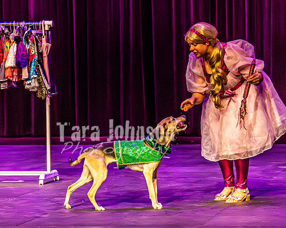 2026 Mutts in Motion - Rehearsal 2 - TJP (13 of 25)