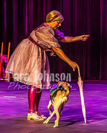 2026 Mutts in Motion - Rehearsal 2 - TJP (16 of 25)