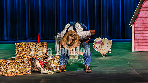 2026 Mutts in Motion - Rehearsal 3 - TJP (4 of 13)