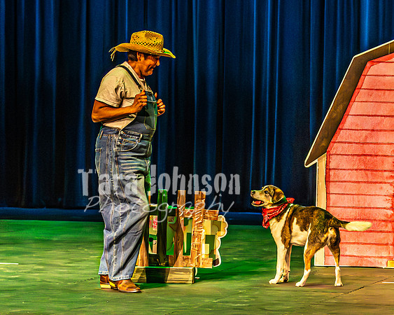 2026 Mutts in Motion - Rehearsal 3 - TJP (7 of 13)