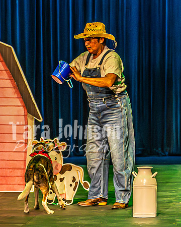 2026 Mutts in Motion - Rehearsal 3 - TJP (8 of 13)
