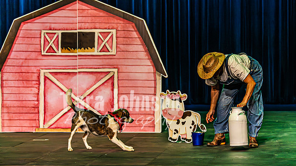 2026 Mutts in Motion - Rehearsal 3 - TJP (9 of 13)