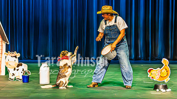 2026 Mutts in Motion - Rehearsal 3 - TJP (10 of 13)