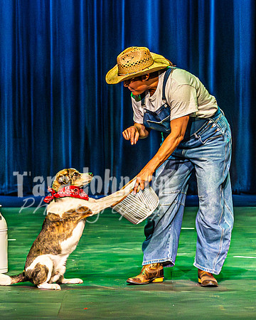 2026 Mutts in Motion - Rehearsal 3 - TJP (11 of 13)