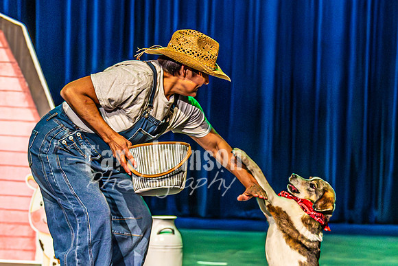 2026 Mutts in Motion - Rehearsal 3 - TJP (13 of 13)